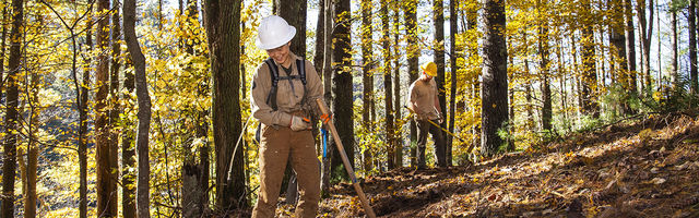 49014039271 5A899Cbfde O Web Banner