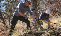 Two crew members rake ground