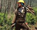 Photo of Matt Hurst